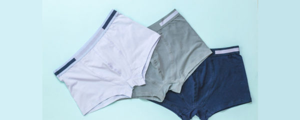 boxer